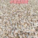平顶山黄金麻中黄荔枝面
