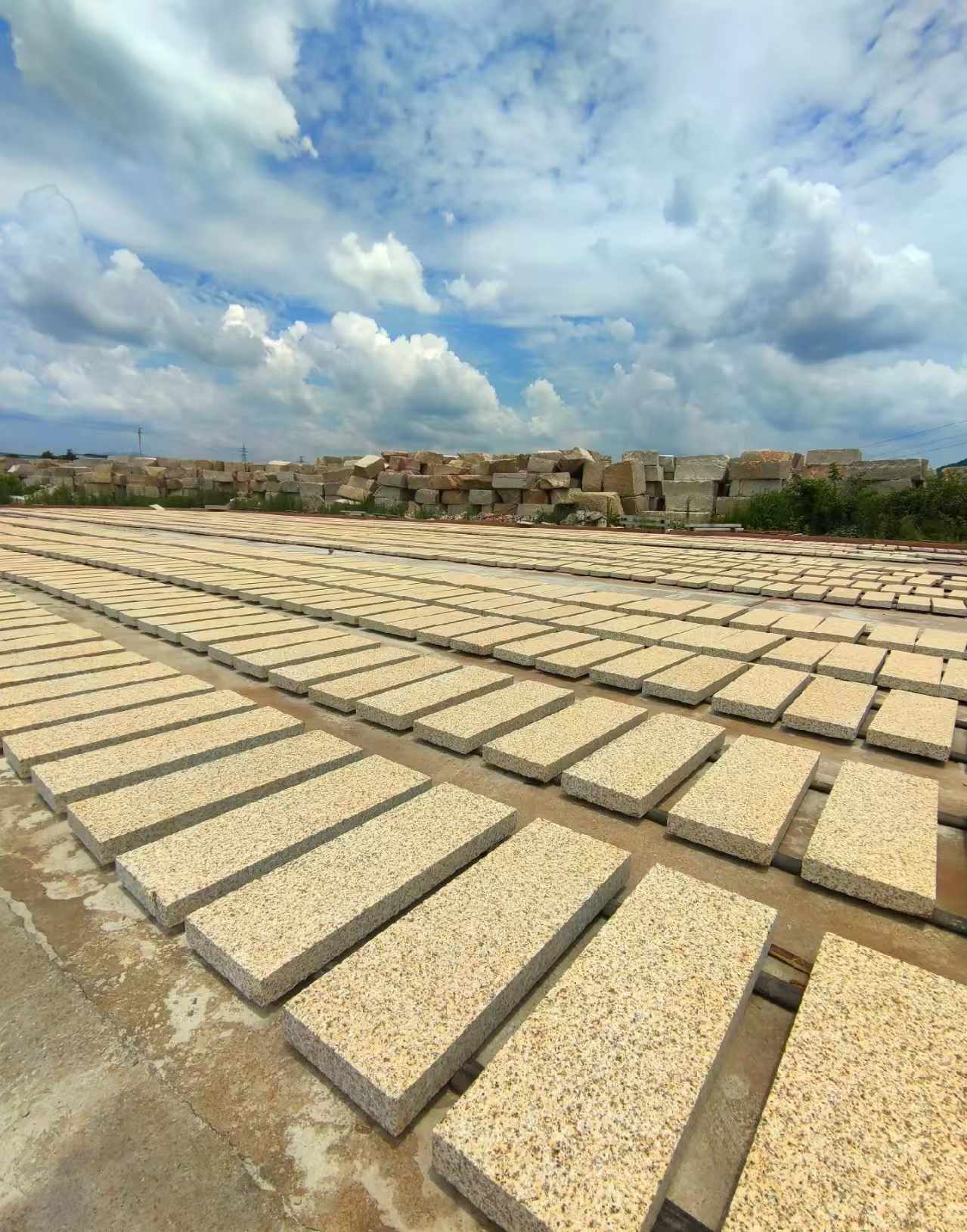 平顶山 黄金麻荔枝面花岗岩石材地铺石防护中