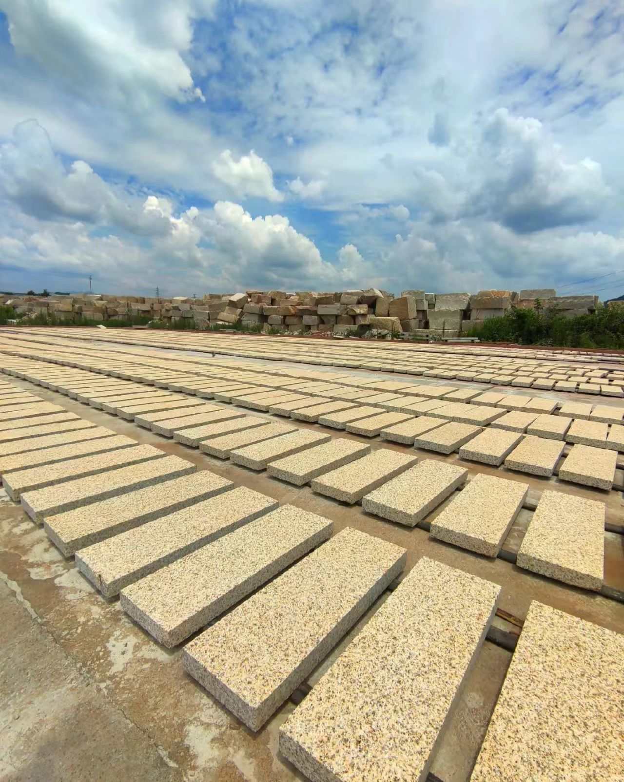 平顶山 黄金麻花岗岩荔枝面地铺石防护中